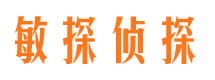 宝塔市私家侦探